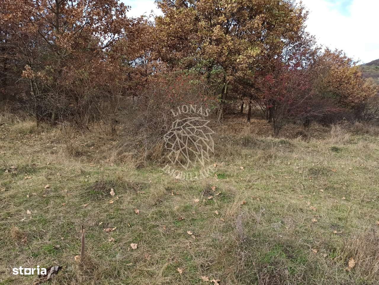 Teren intravilan- 2,025mp oportuitate casa/investitie-Zona Subcetate - Imagine principală: 3/4