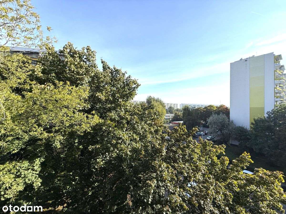 2 balkony / rowerownia/ piwnica /do negocjacji-4