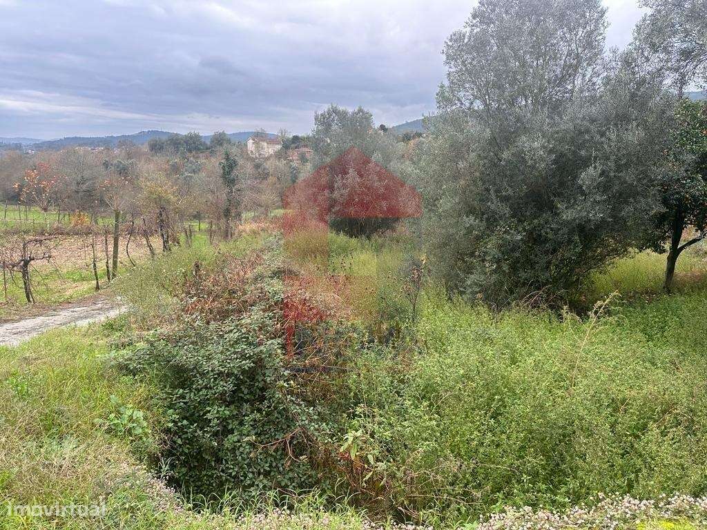 Terreno agrícola, Vilarinho - Grande imagem: 2/10
