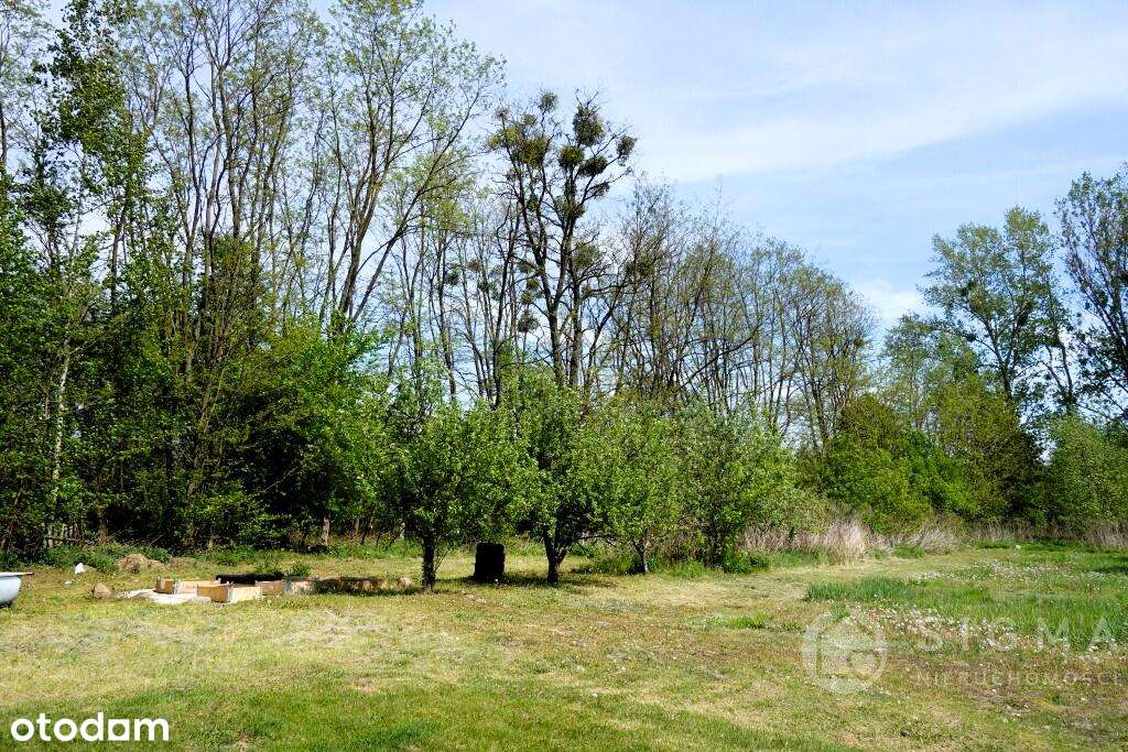 Dom na działce 5000m2 z możliwością podziału - Pełny obrazek: 5/6