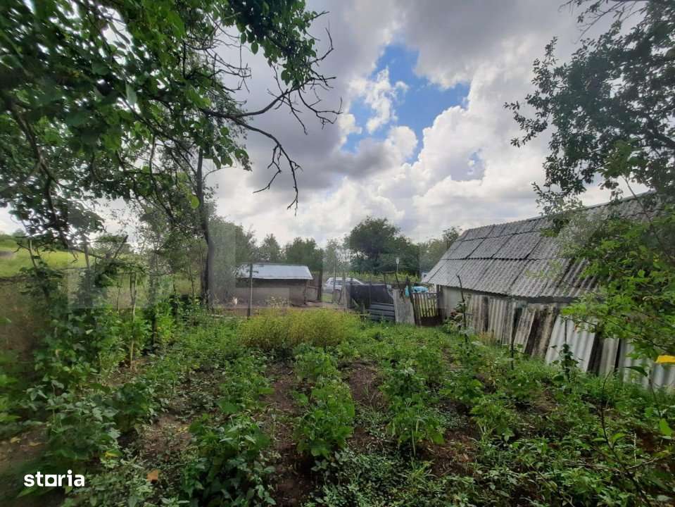 Teren 5000mp, langa padure, Dobrovat - Imagine principală: 2/3