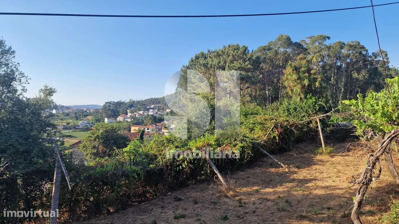 Terreno - potencial de investimento - Astromil - Paredes-15