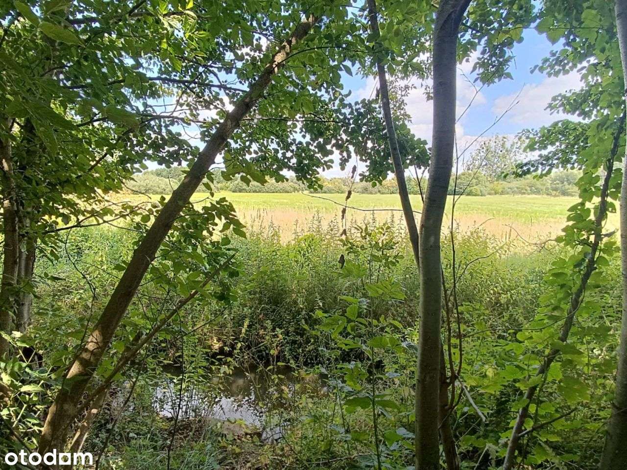 Działka - Kanie ul. Kwiatów Polnych 2200 m2 WZ