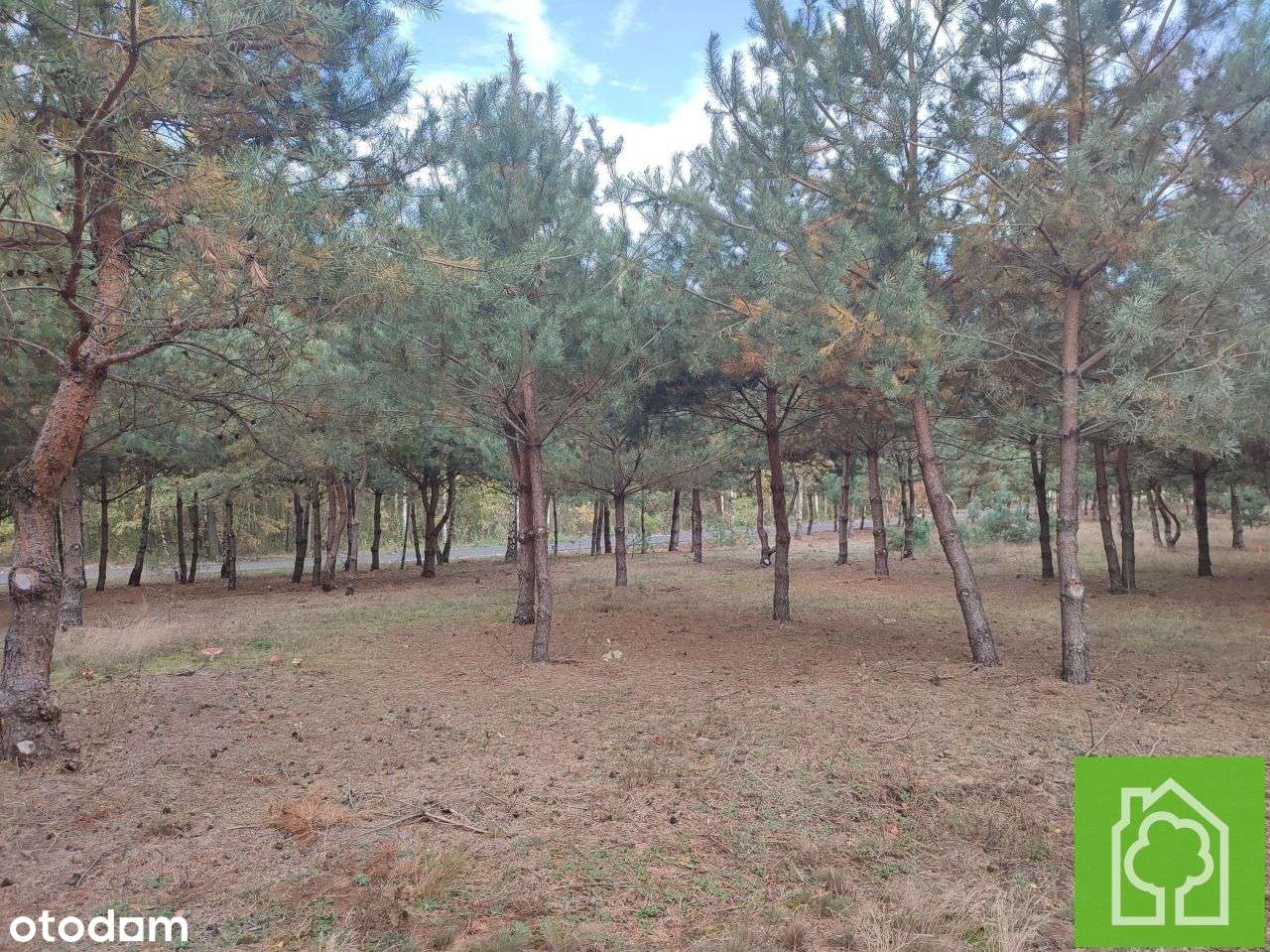 Działka, 1 008 m², Skudzawy-14