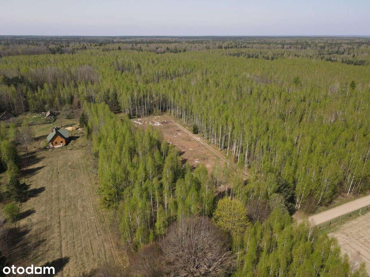 Skupowo - działka w otulinie Puszczy - 9371 m2 -WZ - Pełny obrazek: 4/18