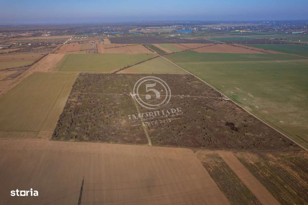 Ocazie- Teren Intravilan de Vanzare- Peris Snagov- Doar 10 euro/mp-11