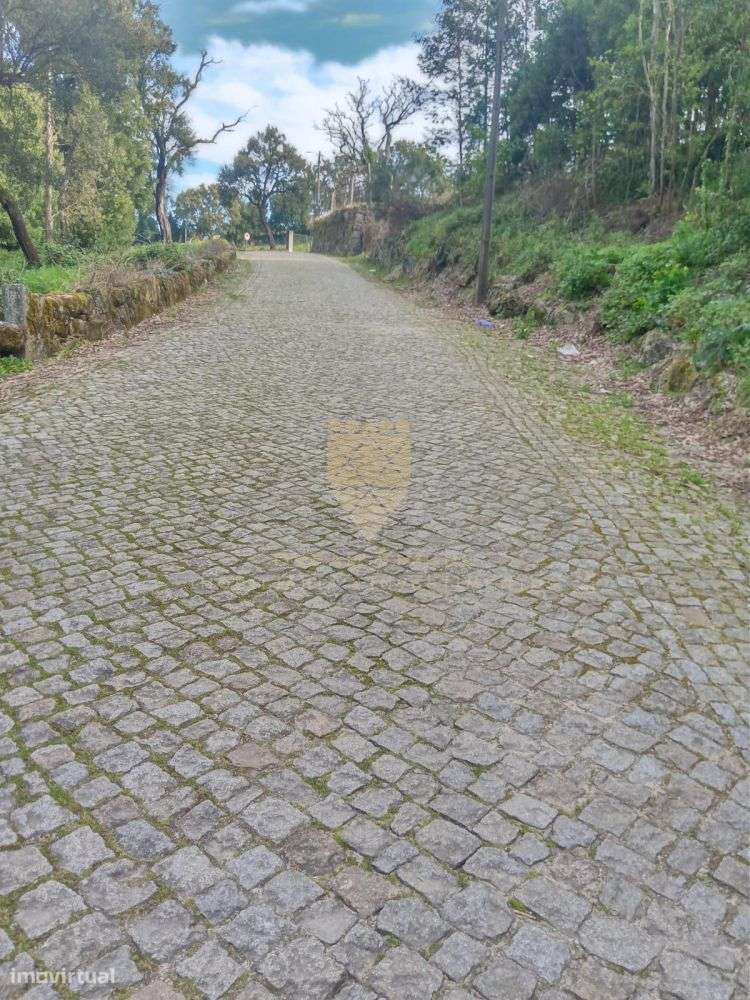 Terreno com 2.229 m² em Fonte Arcada - Grande imagem: 2/4