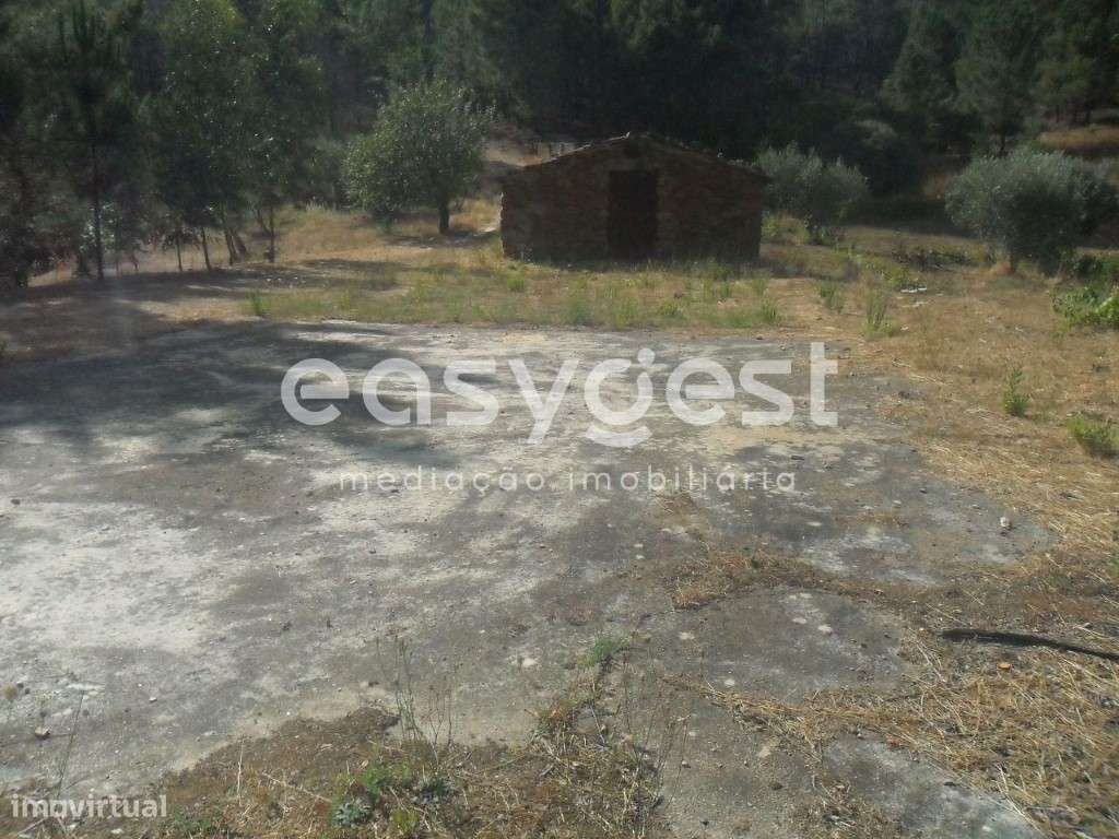 Maravilhoso Terreno Rústico com regadio, olival e vinha - Grande imagem: 2/13