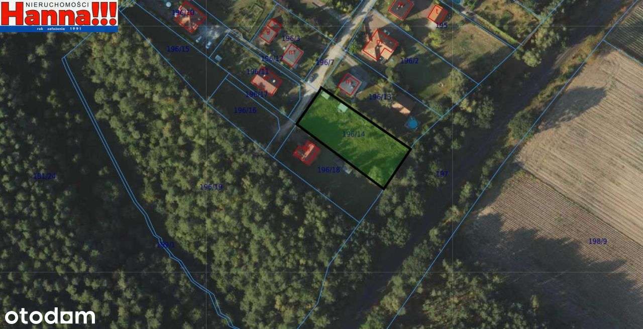 Duża płaska działka budowlana. Rębiechowo/Banino.-5