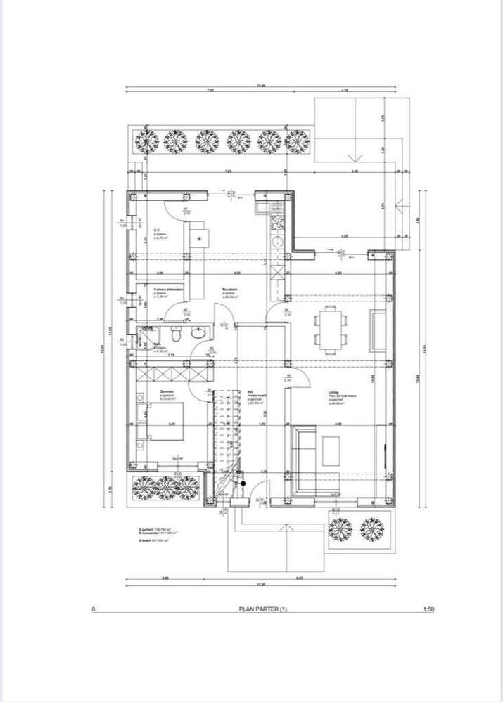 Casă la roșu - SanPaolo Arad - Imagine principală: 3/17