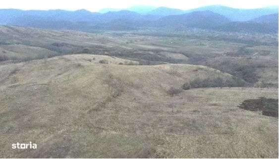 Cota 1/4 teren extravilan Dalboset, jud. Caras Severin - termen 14.08 - Imagine principală: 1/7