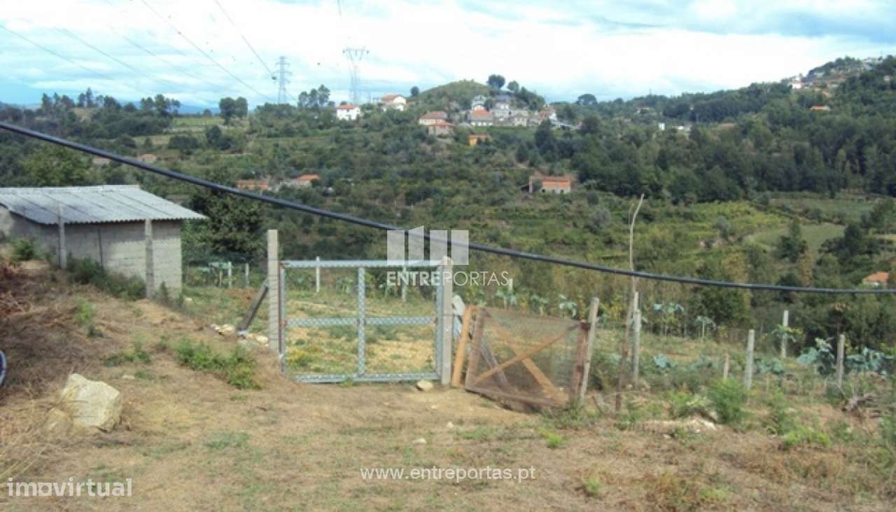 Venda Terreno, Santiago de Piães, Cinfães - Grande imagem: 2/22