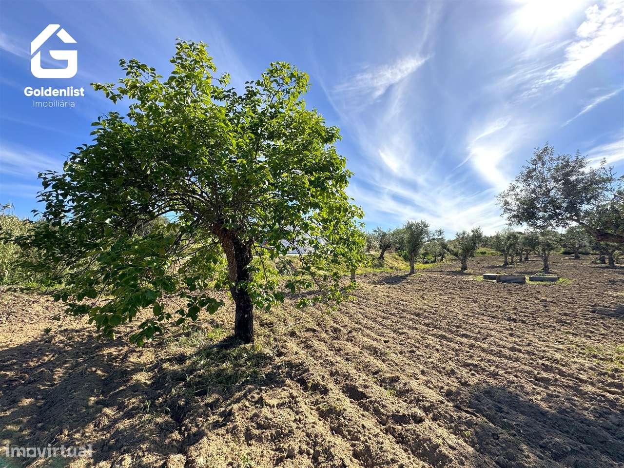 Quinta T2 Venda em Ladoeiro,Idanha-a-Nova-34