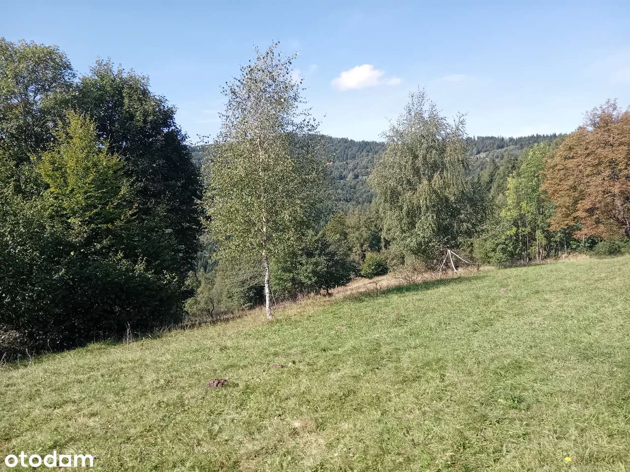 Atrakcyjna, widokowa działka budowlana 13 ar-3