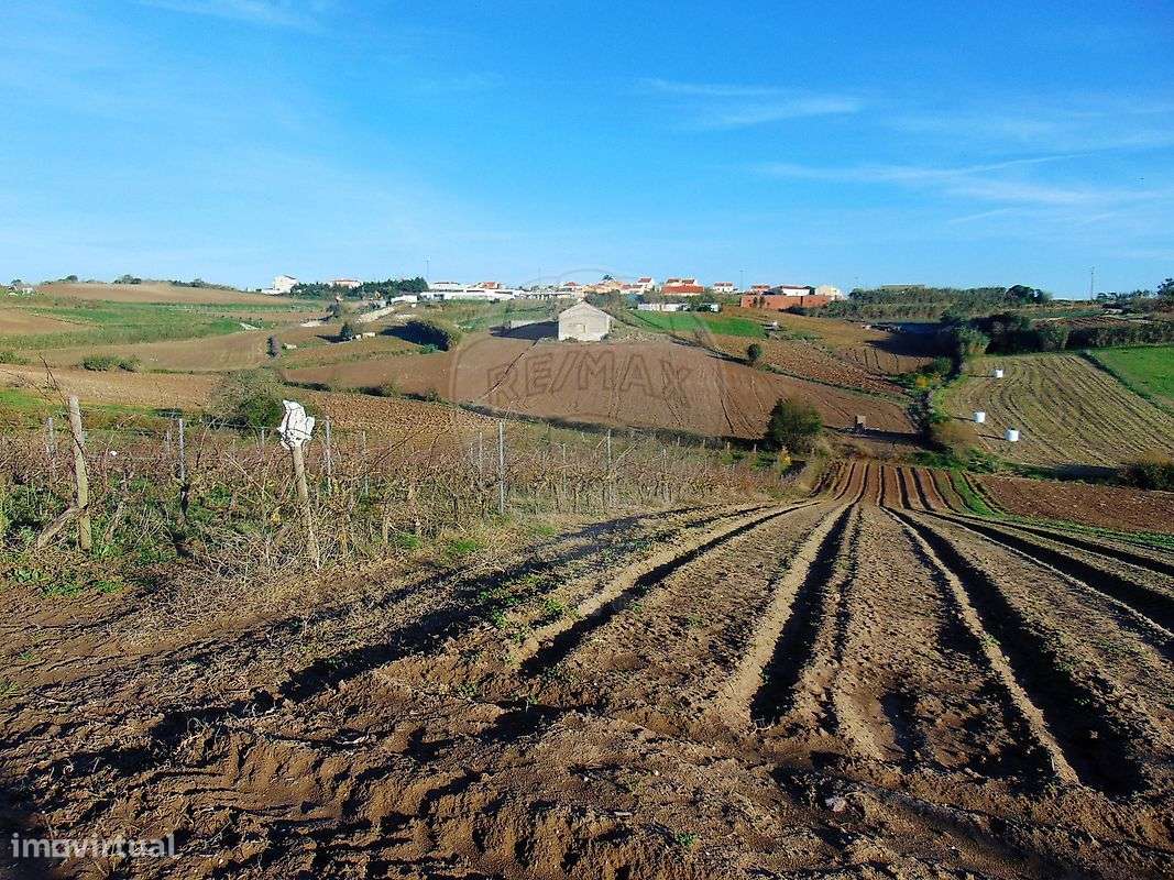 Terreno  para venda - Grande imagem: 4/7