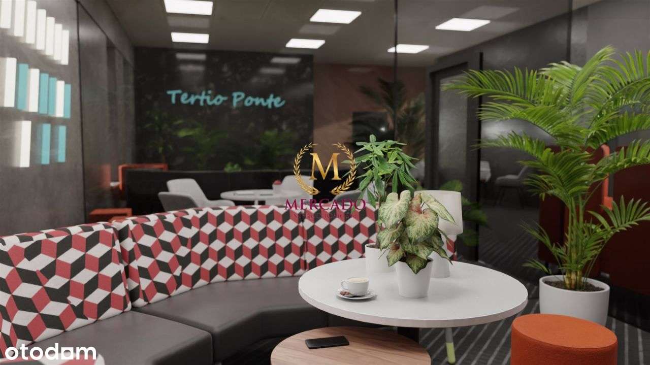 Lokal użytkowy, 25 m², Włocławek - Pełny obrazek: 2/15