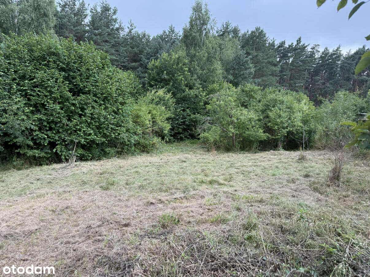 Na sprzedaż część bliźniaka w miejscowości Parpary gm. Sztum - Pełny obrazek: 4/13