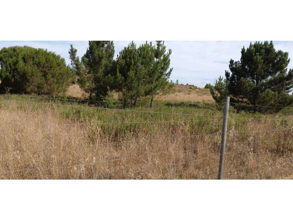 Terreno c/ 42.500M² - Grande imagem: 2/2