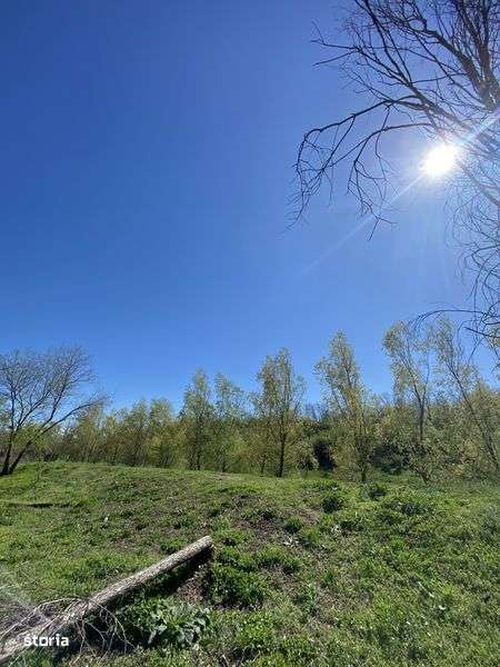 Teren intravilan 1137 mp, apa curenta, acte la zi - Imagine principală: 5/8