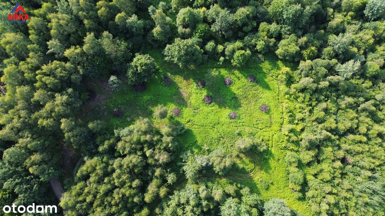 Piękna, słoneczna działka budowlana przy lesie!-1