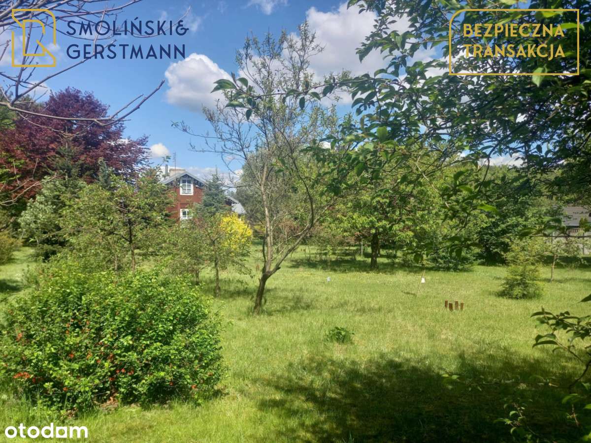 Mezowo 4514 m2 z domem przeniesionym z Podlasia ! - Pełny obrazek: 5/17