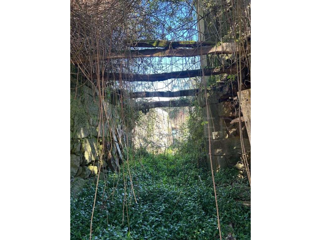 Moradia para recuperar em Candemil, Vila Nova de Cerveira - Grande imagem: 5/6