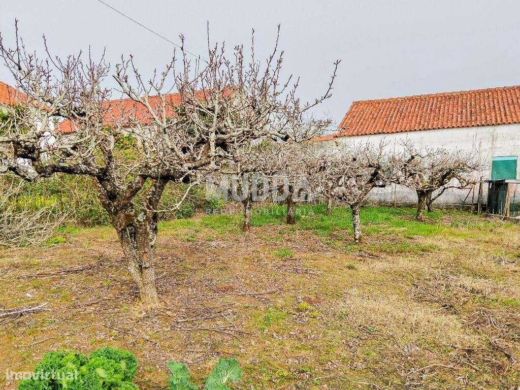 Ruína para recuperar com terreno de 1.050 m2 poço e árvores de fruto A-0