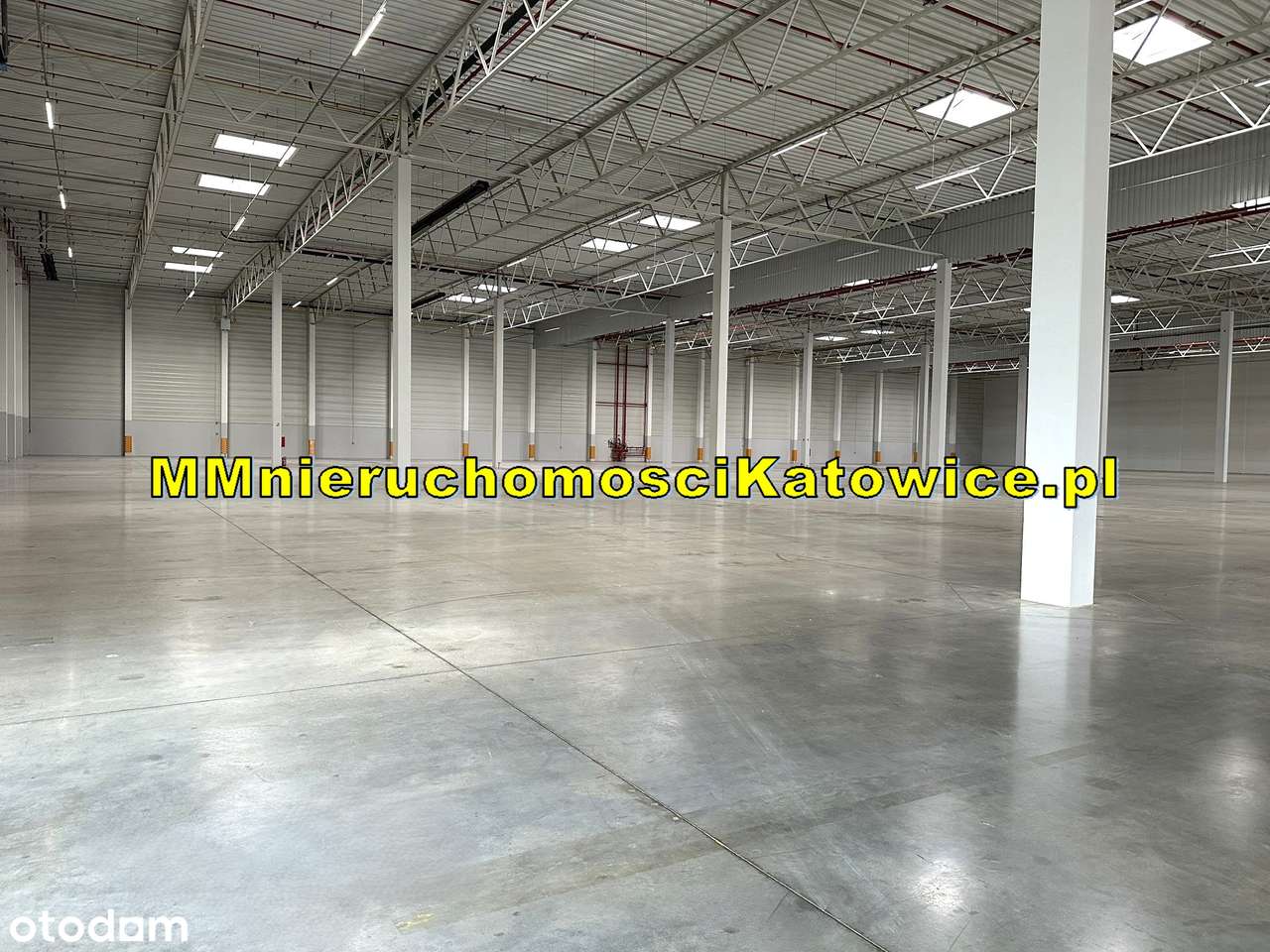Magazyny hale wynajem Ruda Śląska - Klasa A - przy A4 - BEZ PROWIZJI! - Pełny obrazek: 5/20