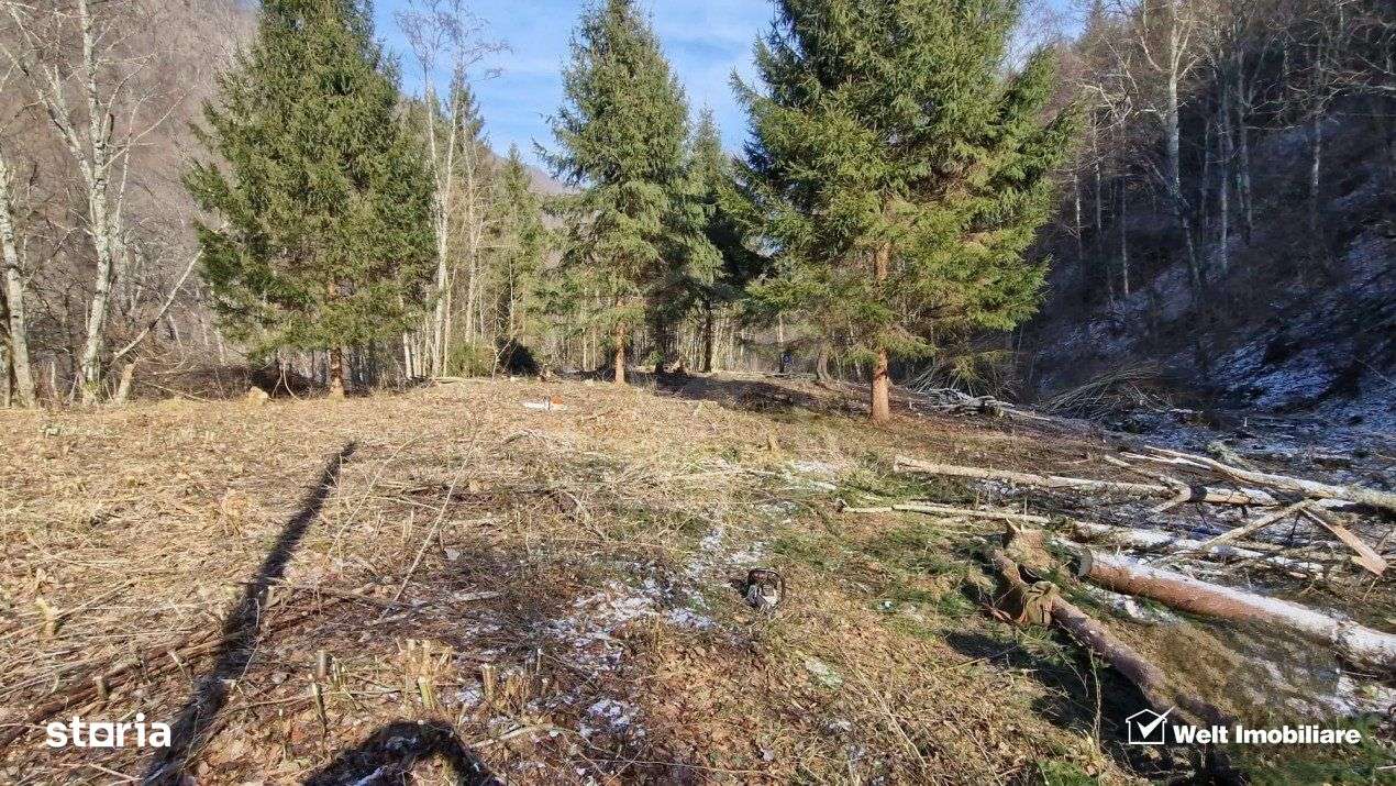 Teren Intravilan de Vanzare – 3279 MP – Coada Lacului Tarnita - Imagine principală: 4/6