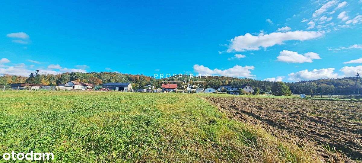 Działki budowlane w Zelewie - Pełny obrazek: 5/11