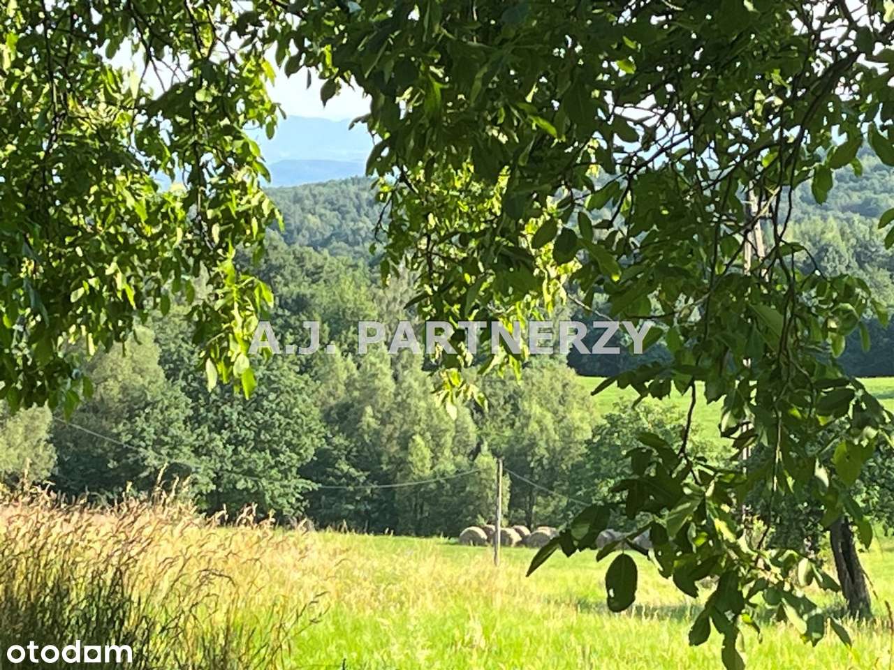 Działki w Grajowie obok szkoły z mediami-8