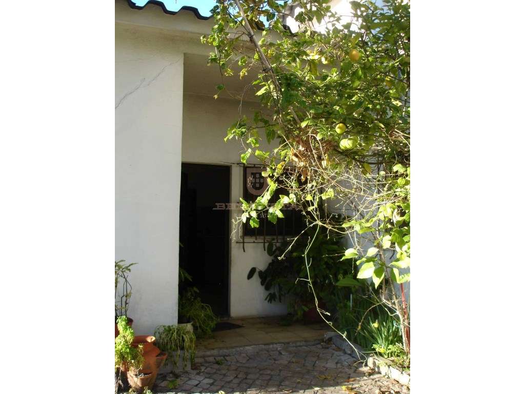 Grande moradia T3 - Ourem - Grande imagem: 5/20