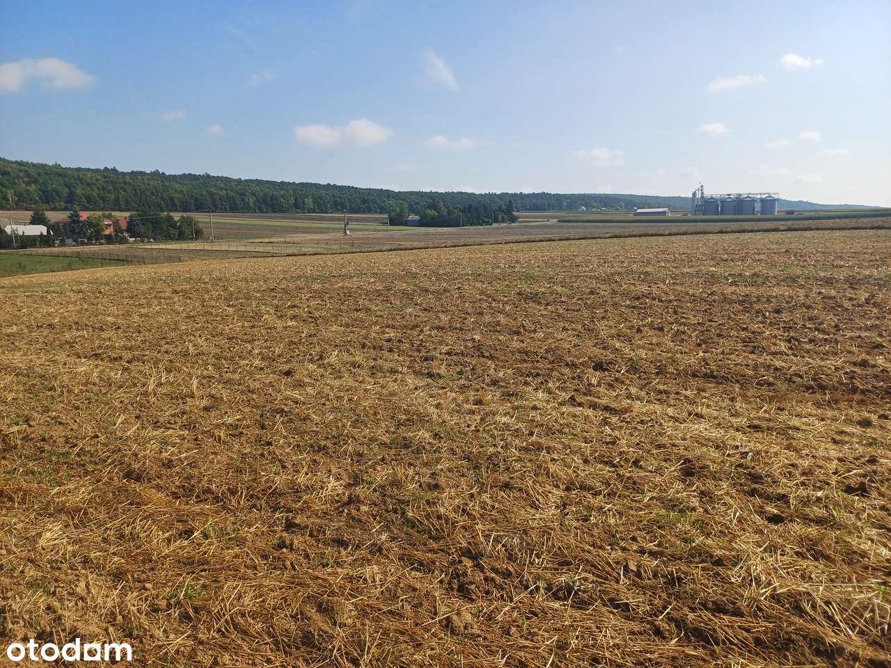 Działki rolne na sprzedaż - Klonów, gm. Racławice-5