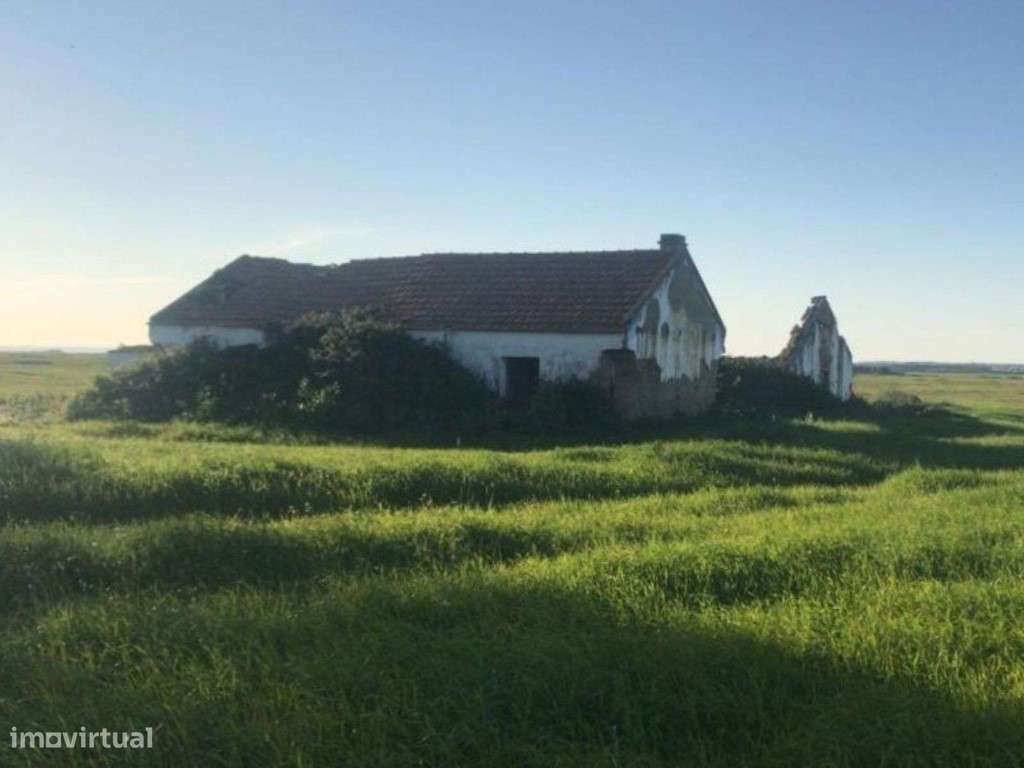 Herdade com 91 ha em São Teotónio, Odemira - Grande imagem: 4/22