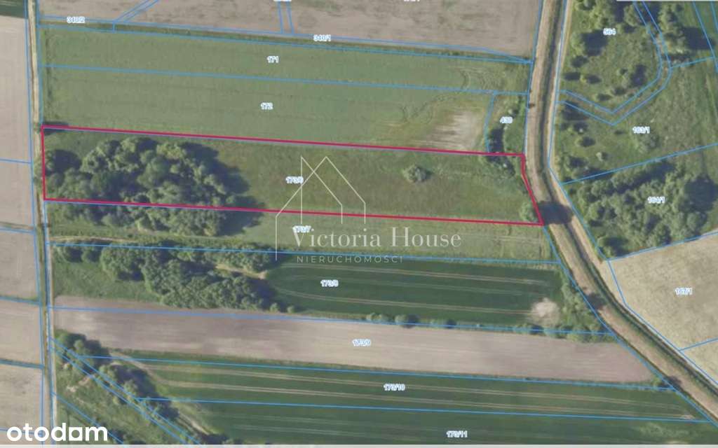 Na sprzedaż działka rolna 1,5 ha Łukowice Brzeskie-0