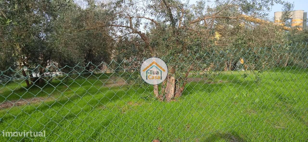 Terreno Rústico em Souselas com 1.813,50 m2 - Grande imagem: 4/16