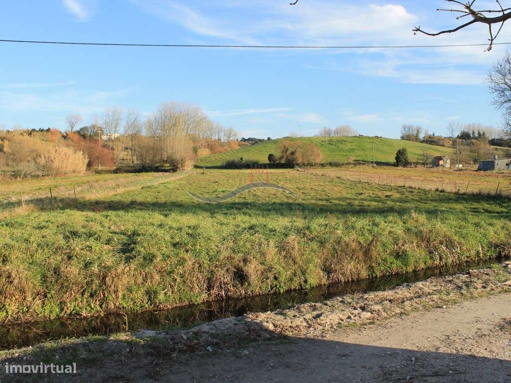 Terreno - Lameiro - Grande imagem: 4/8