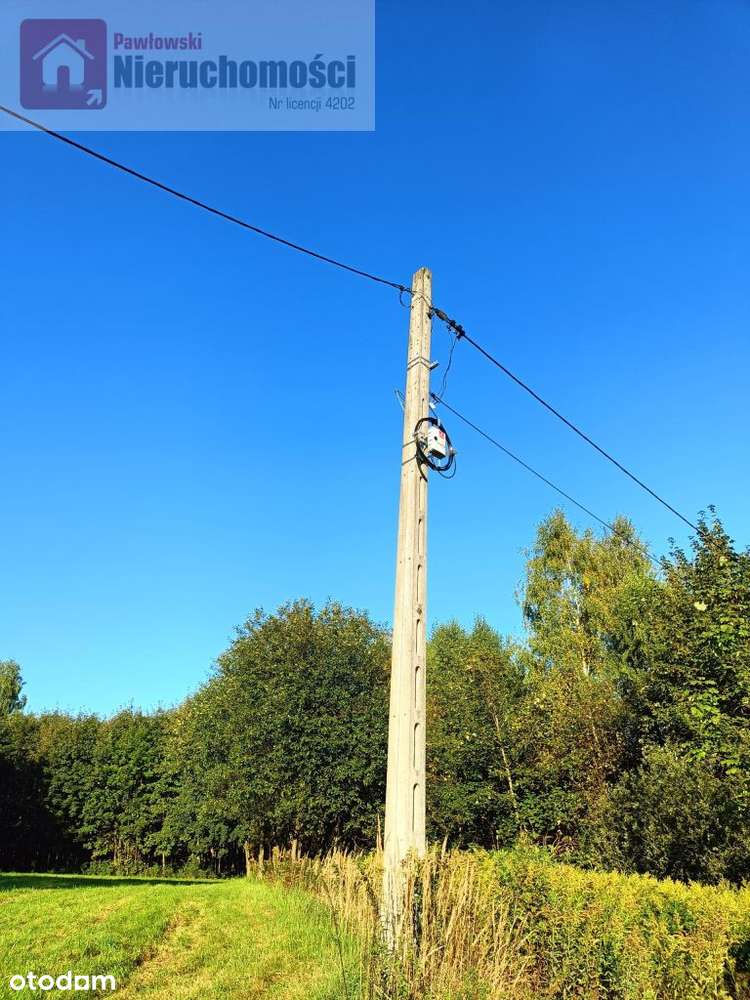 Dom na leśnej polanie - Pełny obrazek: 5/9