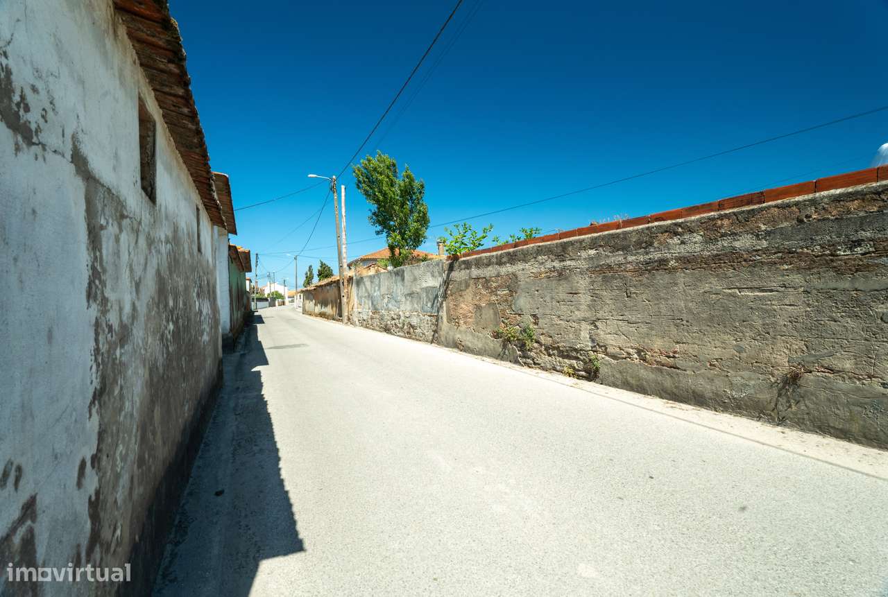 Terreno para venda - Murtosa-5