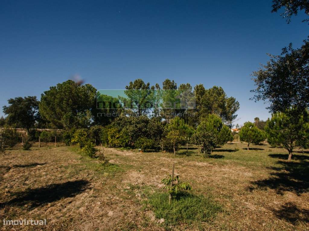 Moradia Térrea T4 em Quinta de 11.250 m² com Árvores de Fruto. Em S...-42
