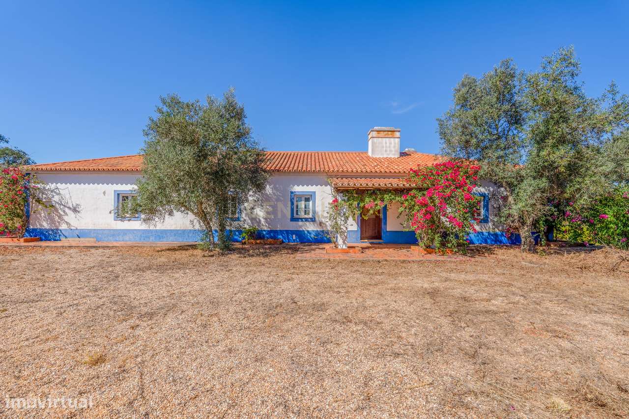 Moradia, 79 000 m², São Teotónio - Grande imagem: 4/57