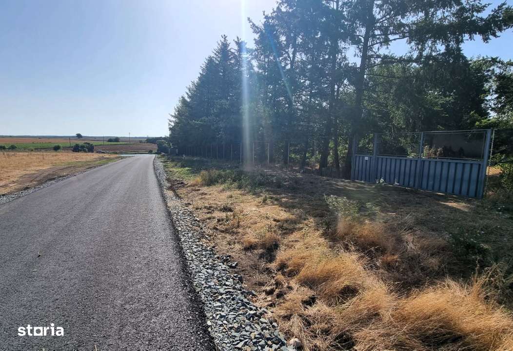 Casa | Piscina | Teren de tenis| Oaza de liniste | Belciugatele lac-5