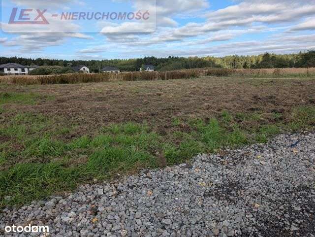 Ciągowice – działka blisko lasu i nowej zabudowy-15