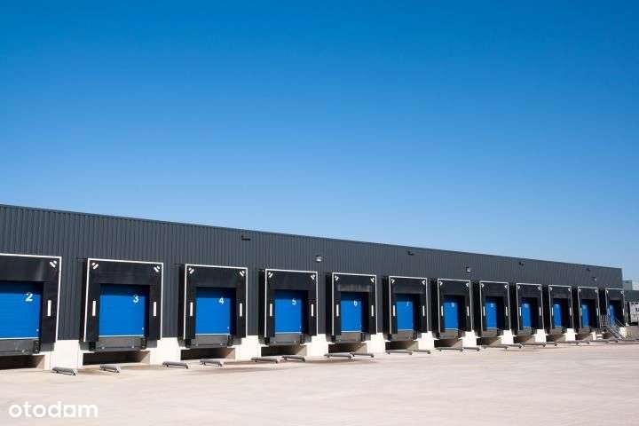 Nowoczesny magazyn na wynajem w Siedlcach - Pełny obrazek: 5/5