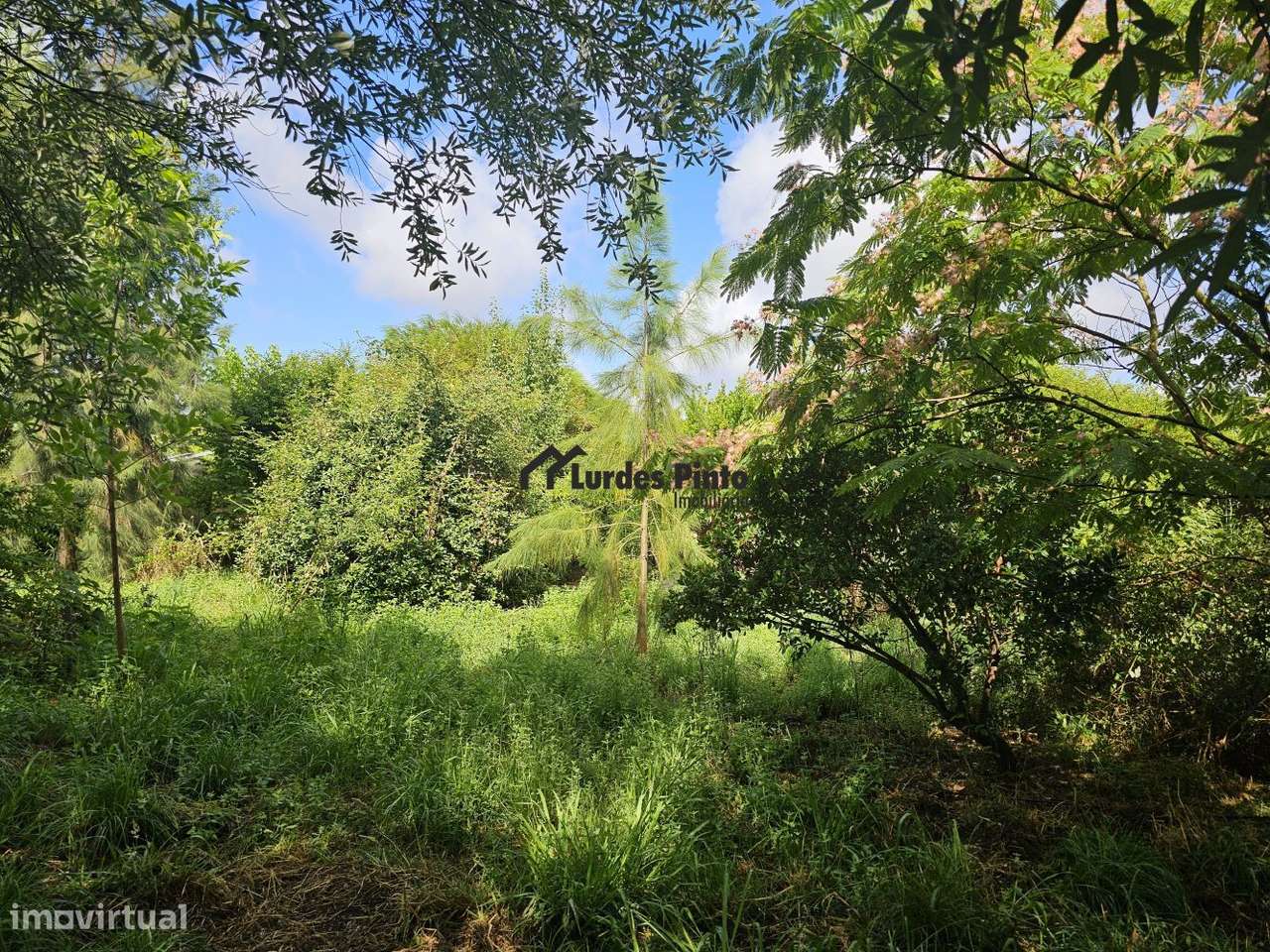 Quinta com habitação-4