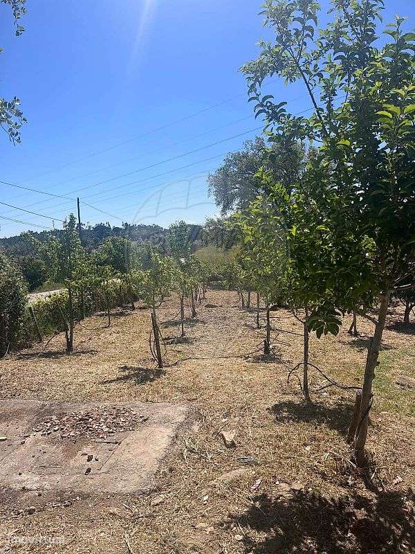 Moradia T2 para venda-31