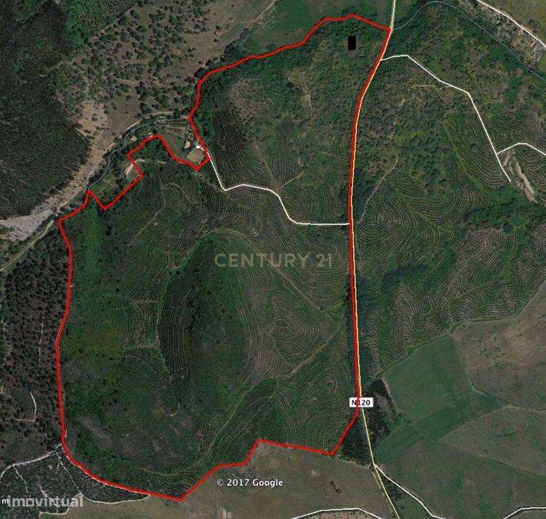 Herdade Raco de Baixo - S. Luís Poente - Grande imagem: 4/6