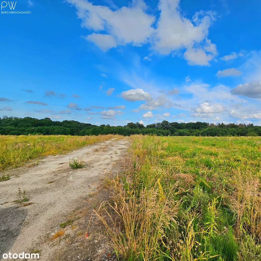 Działki przy lesie i rzeczce - Pełny obrazek: 4/16