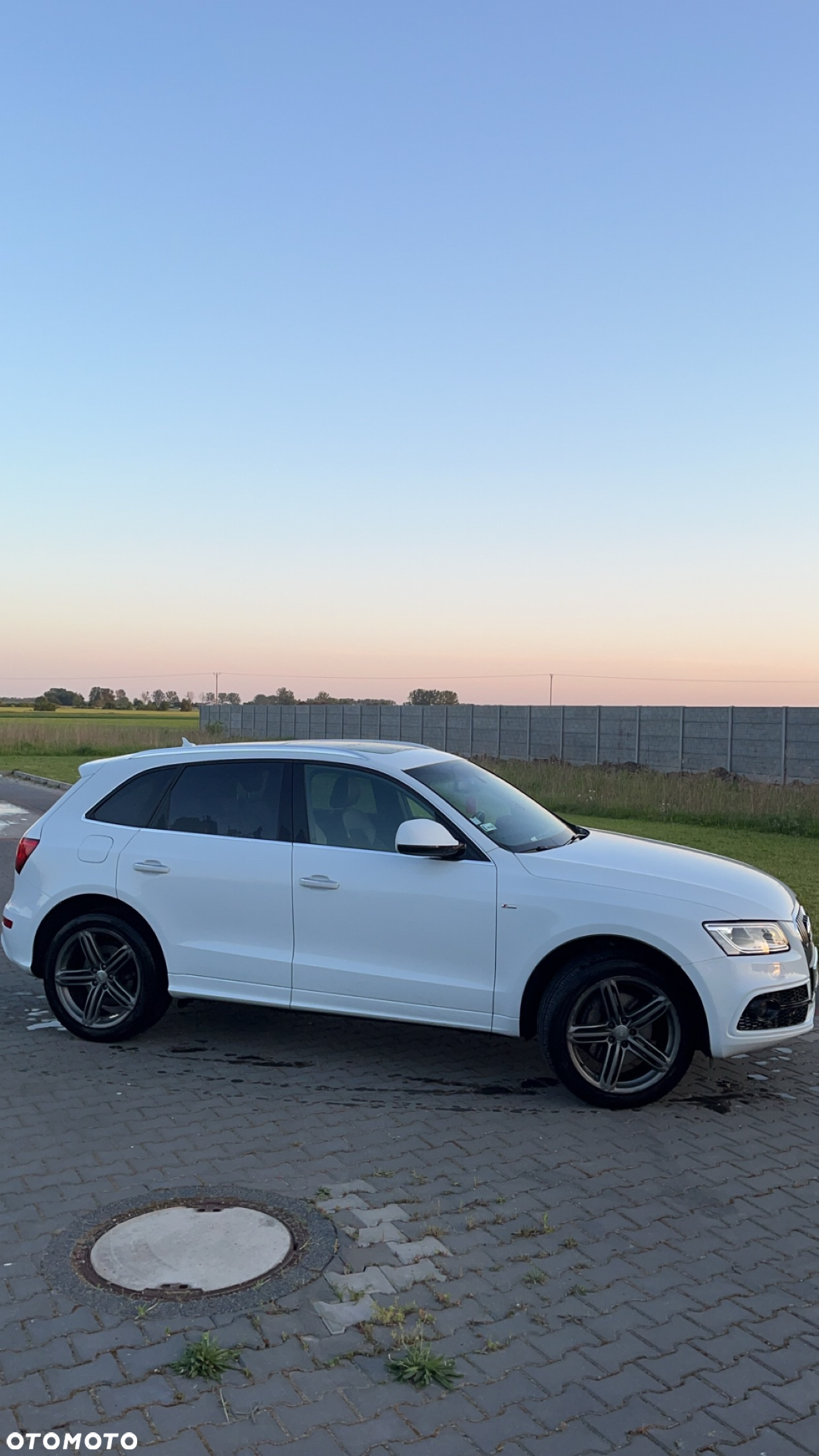 Audi Q5 3.0 TDI (clean diesel) quattro S tronic - 4