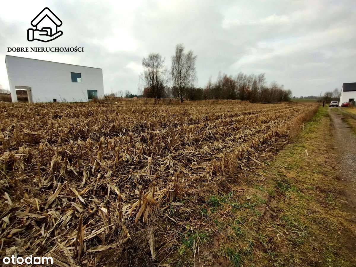 Dz. pod Lublinem w cichej okolicy Płouszowice Kol.-4